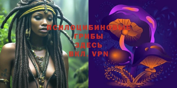 амф Абинск