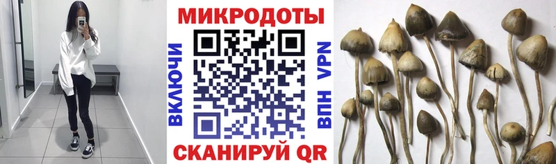 Галлюциногенные грибы мухоморы  Ильский 